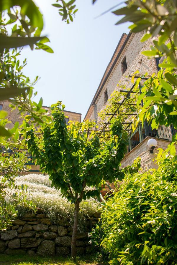 Bed & Breakfast Borgo Marano Cupra Marittima